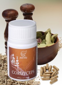 cordyceps